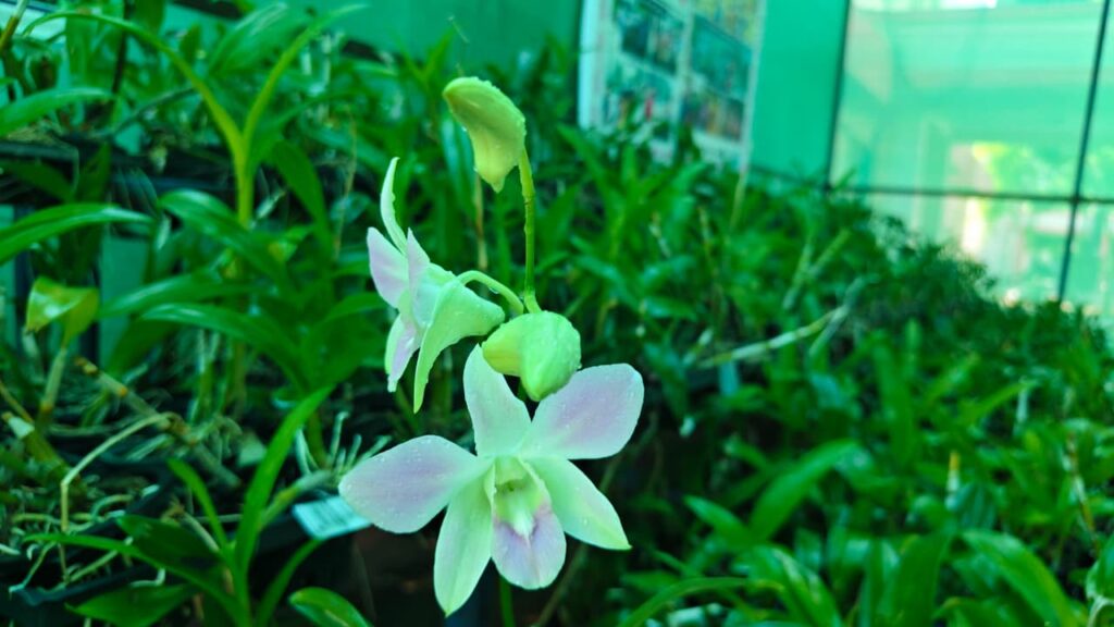 0b97cc3e 777f 47df 8d80 0a23daf16805