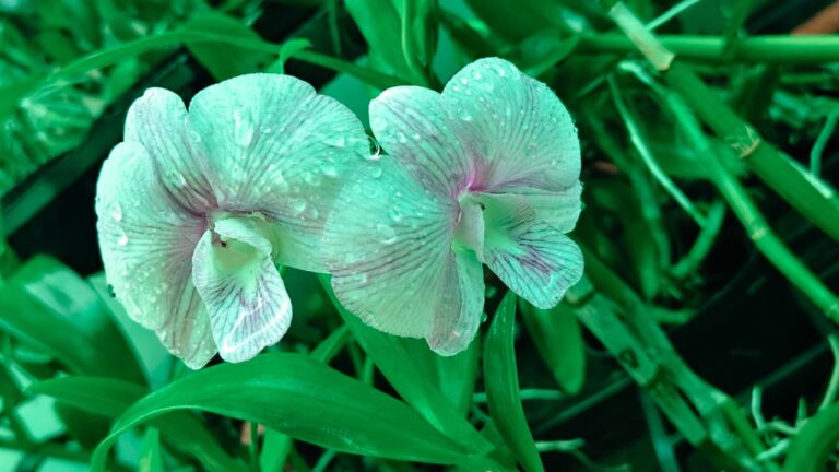 4049767b 9cba 496e 9c5a 2bf86b806e4f