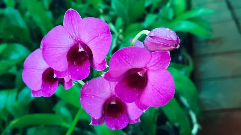 762d379f 2e01 41cf aad7 05424282a9a3