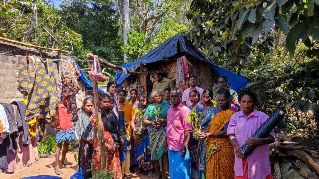 805aa958 77ac 4ae2 816f 5bdfb15b42fc