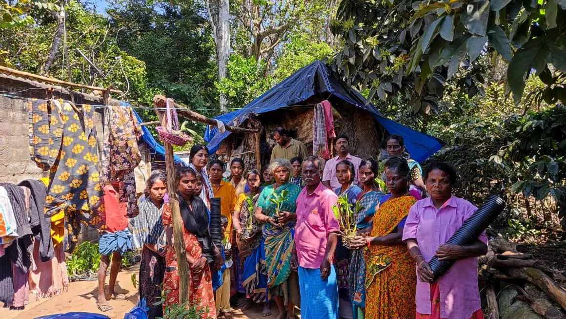 805aa958 77ac 4ae2 816f 5bdfb15b42fc