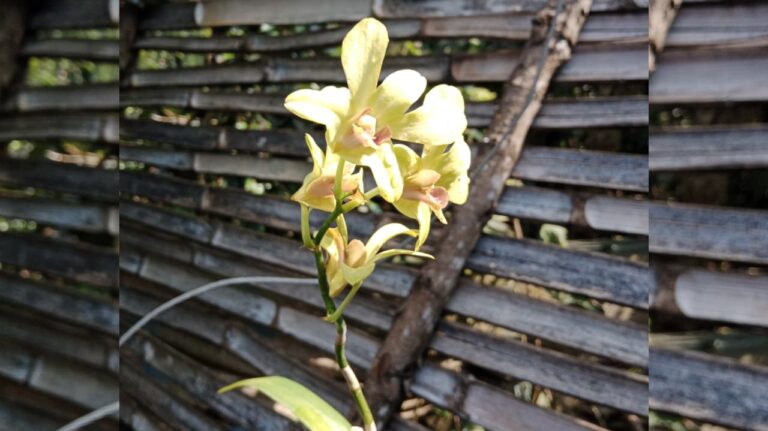 a2092e05 b725 4834 a498 8297e5bd382c